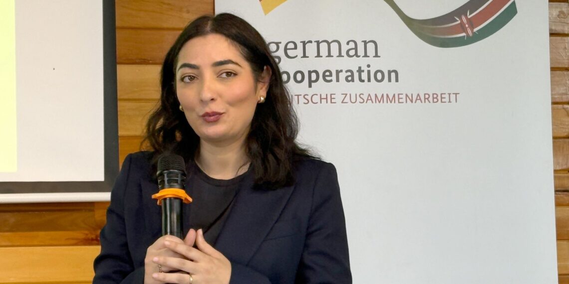l’Allemagne devient le premier actionnaire non-africain de l’ATIDI