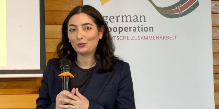 l’Allemagne devient le premier actionnaire non-africain de l’ATIDI