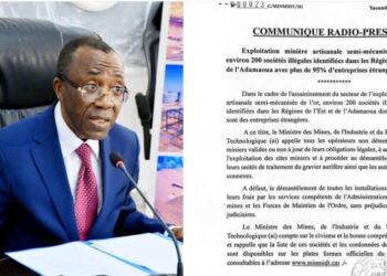 Au Cameroun, des chinois exploitent de l&rsquo;or sans autorisation du Gouvernement, et à travers des entreprises clandestines