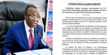 Au Cameroun, des chinois exploitent de l&rsquo;or sans autorisation du Gouvernement, et à travers des entreprises clandestines