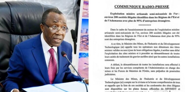 Au Cameroun, des chinois exploitent de l&rsquo;or sans autorisation du Gouvernement, et à travers des entreprises clandestines