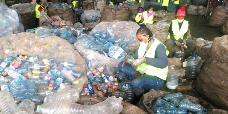 Économie Circulaire : Ecogreen produit environ 8000 tonnes de plastiques recyclés (R-Pet) par an, et entend doubler la production d’ici décembre 2026