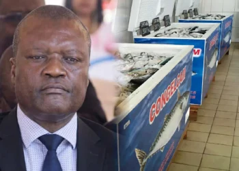 Marché du poisson au Cameroun : CONGELCAM conteste les accusations de monopole