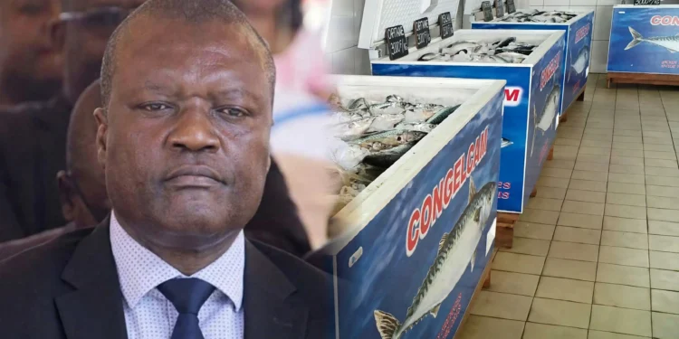 Marché du poisson au Cameroun : CONGELCAM conteste les accusations de monopole