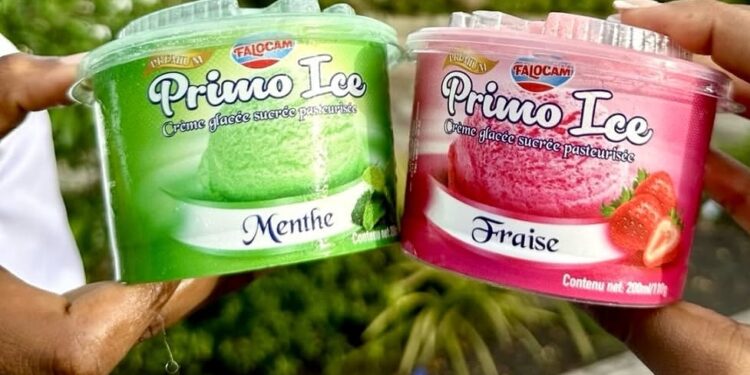 Crèmes glacées : Falocam mise sur le Made in Cameroon pour conquérir les marchés national et sous-régional